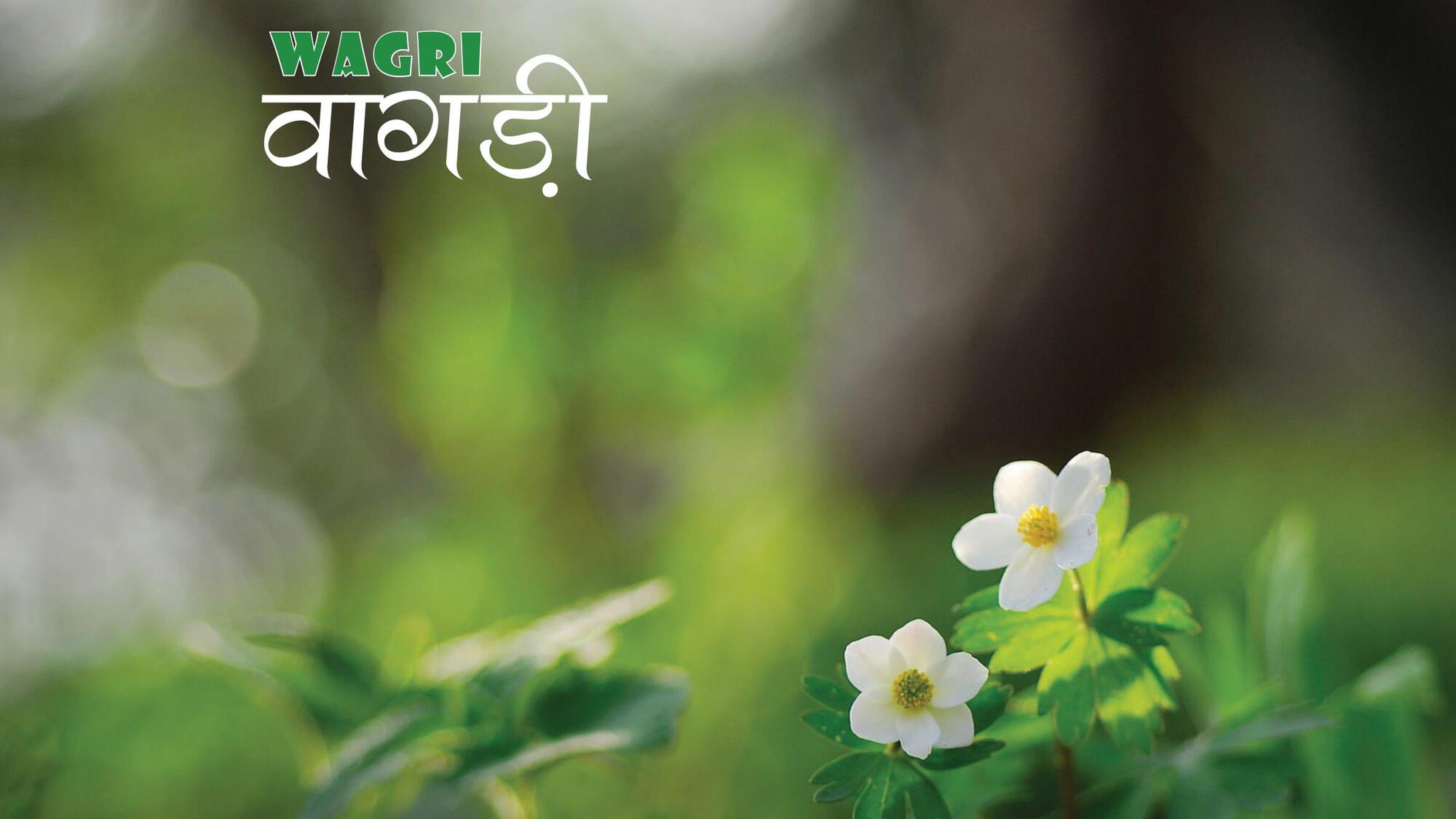 Wagri
